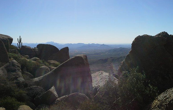 view