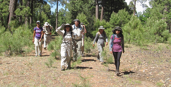 hikers