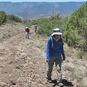 hikers