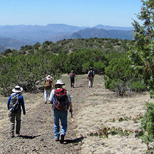 hikers