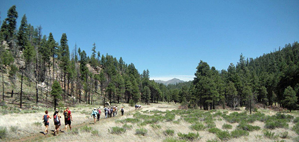 AZ_Trail_30