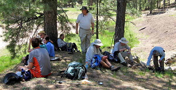 picnic