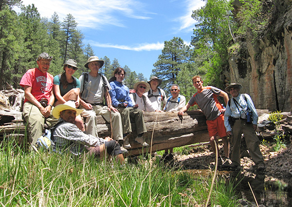 group
