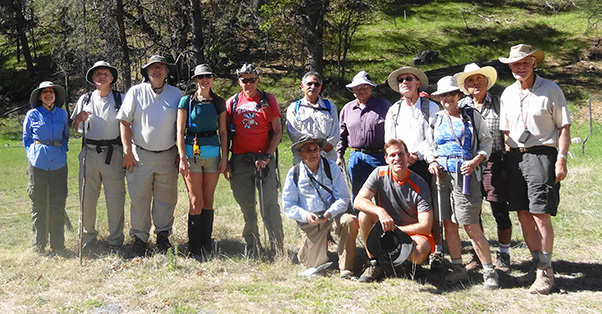 group