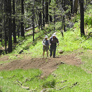 hikers