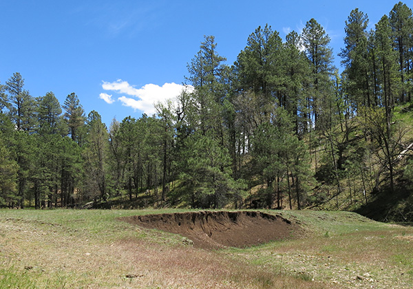 dirt