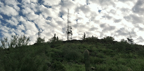 towers