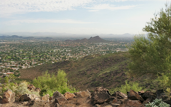 view