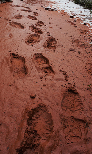 Muddy1_Lin