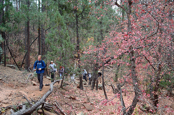hikers
