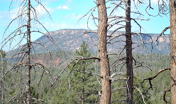 butte