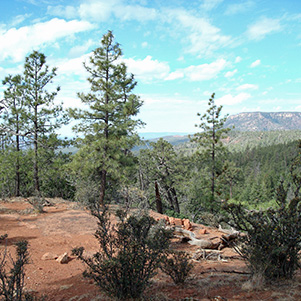 butte