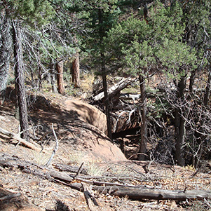 log