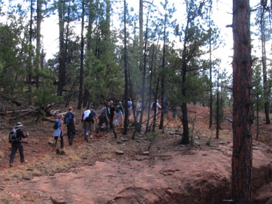 hikers