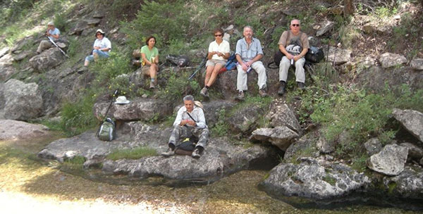 group