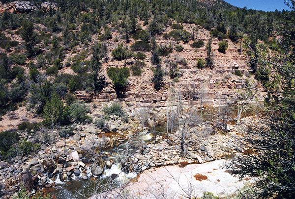 Fossil1_1998