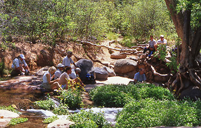hikers