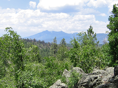 peaks