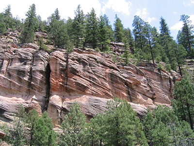 rocks