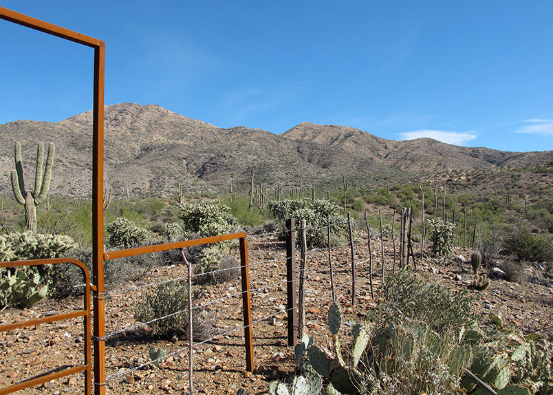 gate
