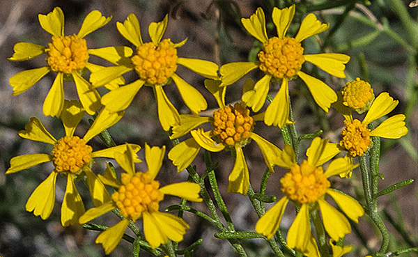 P7232286