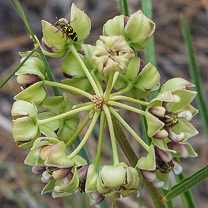 P7232343