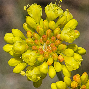 P7232397