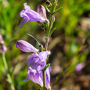 P7242619