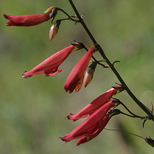 P7242744