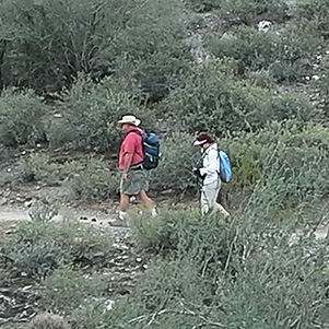 hikers