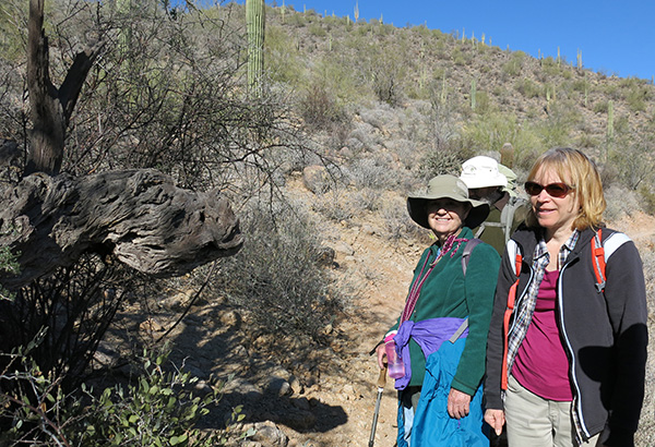 hikers