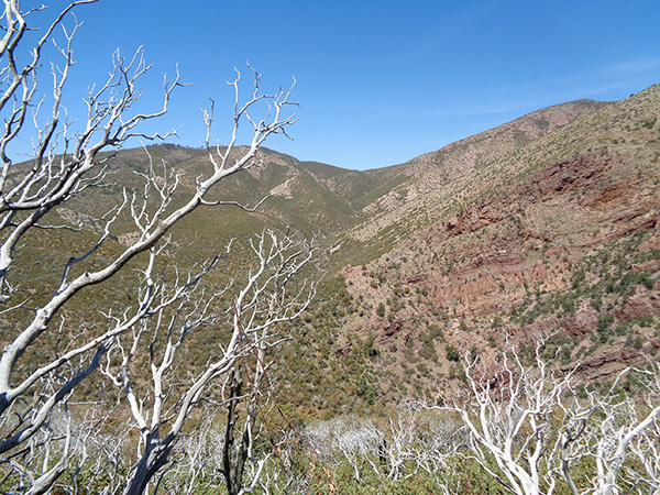 ridge