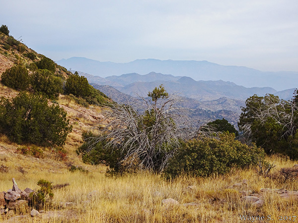 canyon