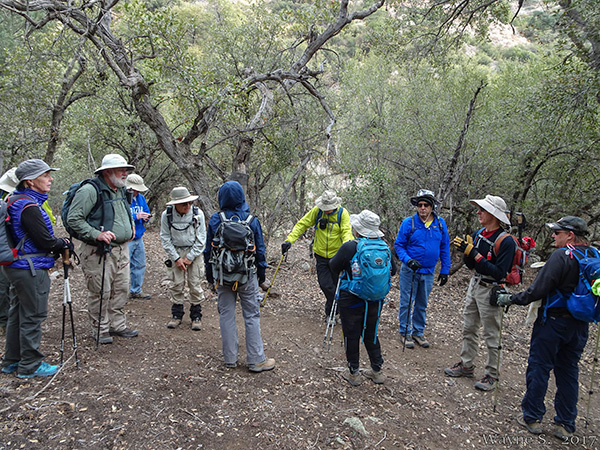 hikers