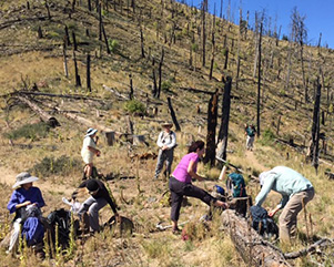hikers