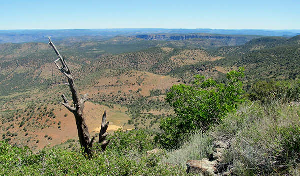 canyon