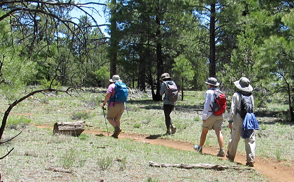 trail