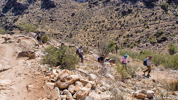 trail