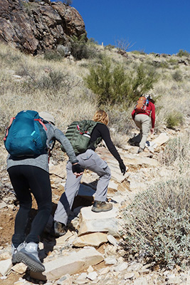 hikers