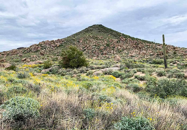 hill