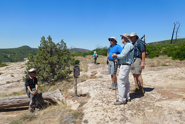 hikers