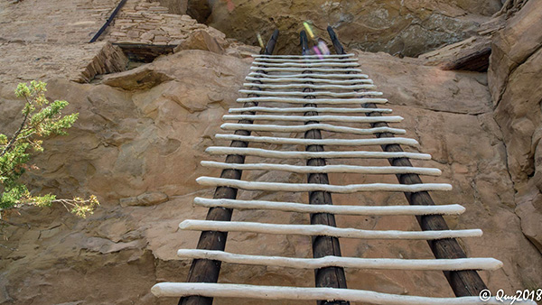ladder