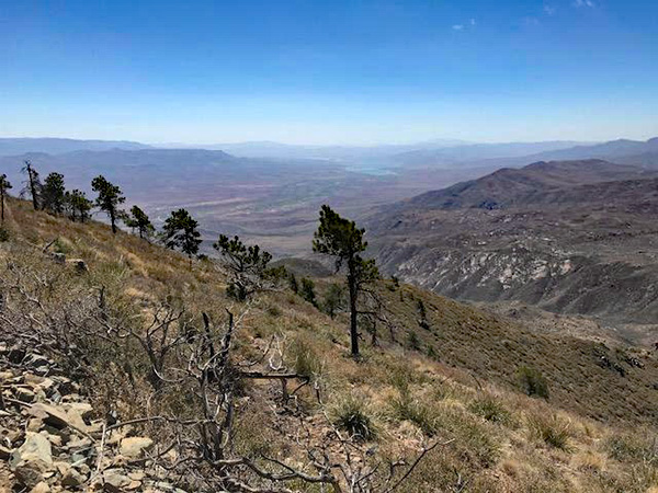 view