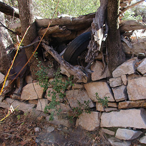 wall
