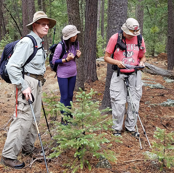 hikers