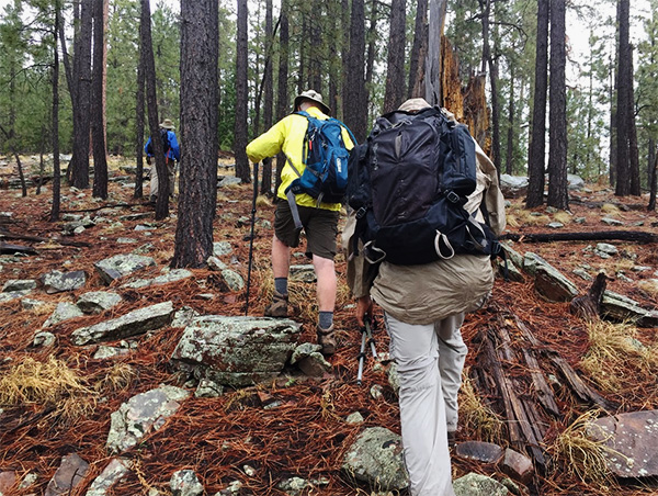 hikers
