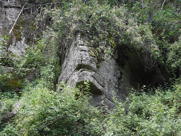 face