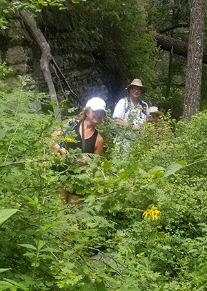 hikers