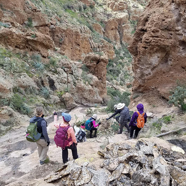 hikers