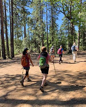 hikers